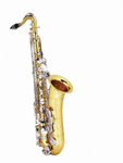 Cheap Student Alto Saxophone Eldon