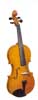 Violin Sale | Strunal Concert Violin
