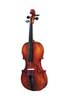 Strunal 175BH Concert Violin Outfit