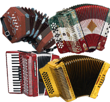 Accordiona For Sale