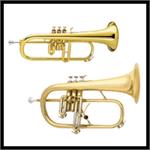 Flugelhorns