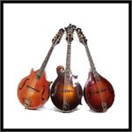 Mandolins