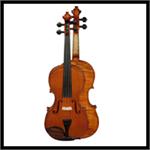 Professional Violins