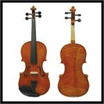 Violas