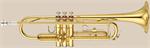 Bach TR300H Trumpet