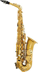 Yanagisawa Alto Saxophone
